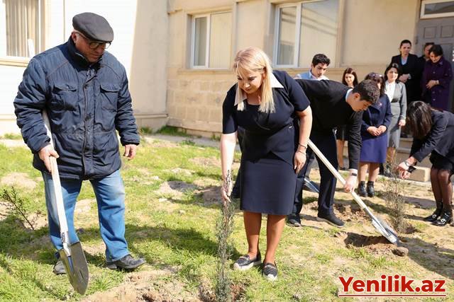 Abşeron-Xızı Regional Təhsil İdarəsinin təşkilatçılığı ilə ağacəkmə aksiyası keçirilib
