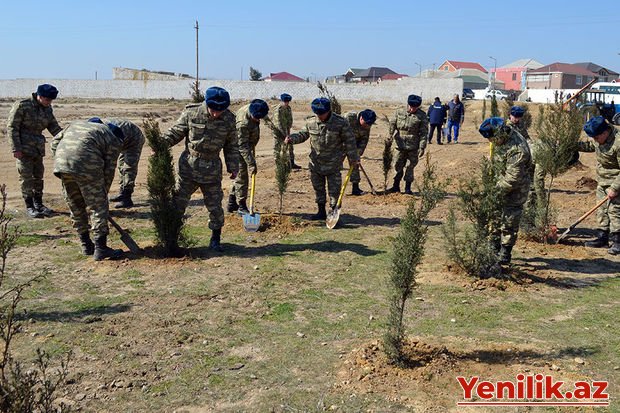 Azərbaycan Ordusunda ağacəkmə aksiyaları keçirilib
