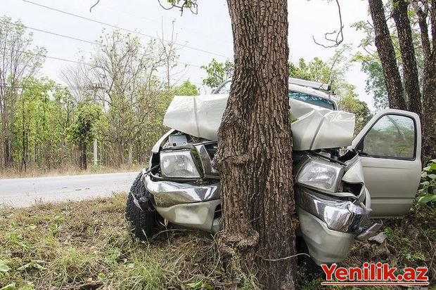 Zərdabda avtomobil ağaca çırpılıb: Ölən və yaralananlar var