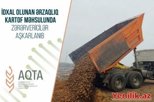 Belarusdan Azərbaycana gətirilən tonlarla kartof məhv edildi