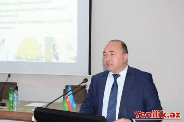 Naxçıvan Dövlət Universitetinə yeni prorektor təyin edilib
