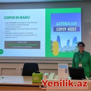 Qərbi Kaspi Universitetin professoru beynəlxalq konfransda çıxış edib