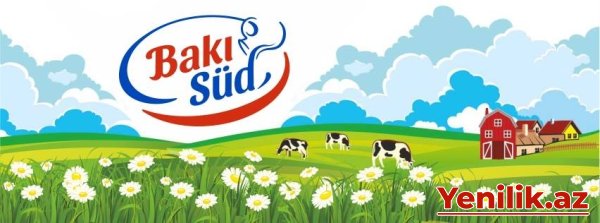 “Bakı Süd Co” MMC cərimələndi - Ölkədən 35 min dolları qanunsuz çıxarıb