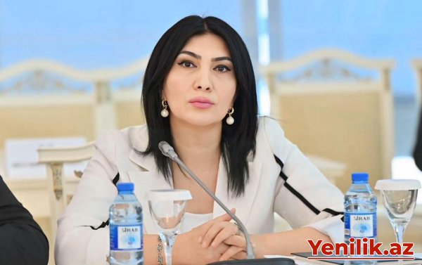 “Bu, sadəcə divara rəsm çəkmək deyil, vandalizm aktıdır”