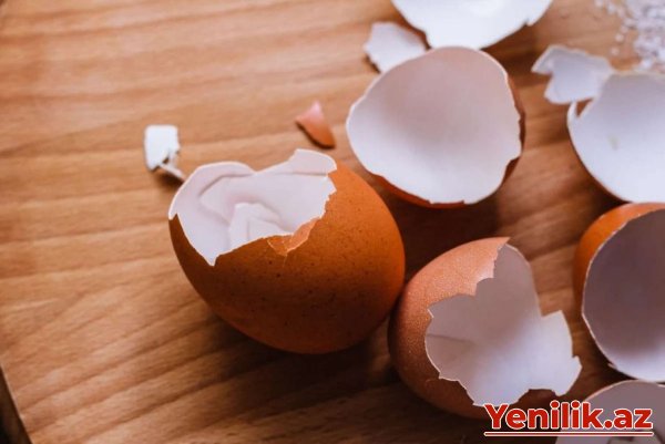1 qəpiklik yumurtanın içindən görün nə çıxdı - VİDEO
