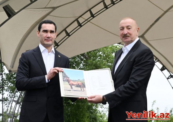 Türkmənistan Prezidentinə Qarabağ atı hədiyyə edilib - FOTO