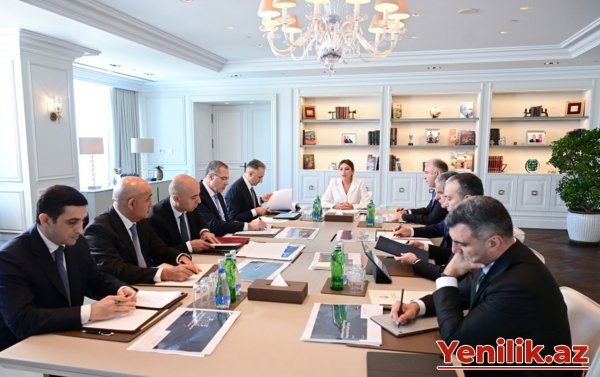 Təhsilin rəqəmsallaşdırılması ilə bağlı görülən işlər barədə Mehriban Əliyevaya məlumat verildi